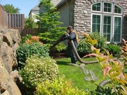 This is organic mulch from 10 healthy trees. Bark Blowing Mulch Installation Best Buy In Town Portland Or