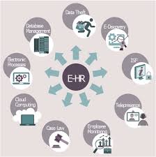 hr management process flowchart electronic human