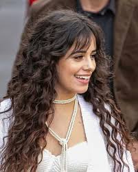Pin By Luuz Ferreyra On Camila Cabello Curly Hair Styles Natural Hair Styles Long Hair Perm