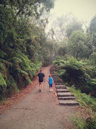 1000 Steps At Mt Dandenong Australian Travel Australia Travel Melbourne