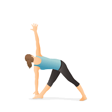 Revolved Triangle Pose