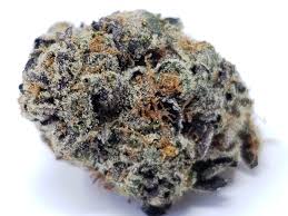 Maybe you would like to learn more about one of these? Buy Aaa Orange Cookie X Rockstar Online Buy Cannabis Cheap Weed Ounces Hybrid Strains Qp S Bulk Flowers Green Leaf Express
