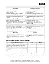 Meiosis Vs Mitosis Package Answer Key