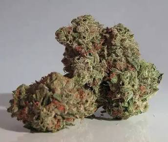 White Runtz Strain: Effect, THC & Taste (2026)