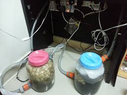 Yang penting, jadikan sebagai perniagaan sendiri dengan masa sendiri dan untung rugi sendiri. Menjana Penapisan Air Di Dalam Akuarium Ciri Ciri Mencipta Penapis Buatan Sendiri Untuk Akuarium Air Diy Penulen Untuk Akuarium