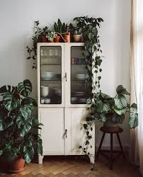 Meuble Rangement Vaisselle Blanc Parquet Bois Monstera Plantes Vertes Pot De Fleur Tabou Rangement Vaisselle Decoration Interieure Nature Decoration Interieure