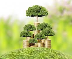 Be civil to each other. 49 134 Money Plant Stock Photos Free Royalty Free Money Plant Images Depositphotos