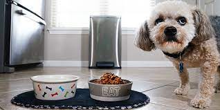 With over 50 different brands of dog food on the market it can be difficult to decide which dog food is best for your pet. Is Your Pet S Food Making You Sick Study Finds Many Don T Know The Risk Purdue University News