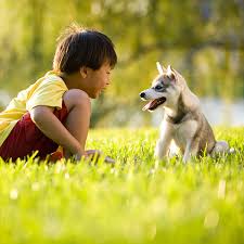 A certain amount of authority from you, the top dog, will be required for dog obedience. Teach Kids Proper Pet Care Parenting
