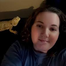 Bearded dragon mansion with built-in heat panel