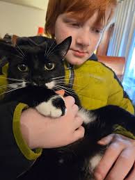 Vash the Stumpede isn't a big fan of the cat toy