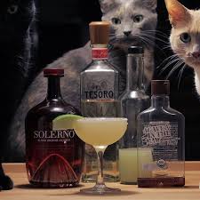 Pin On Cats Cocktails
