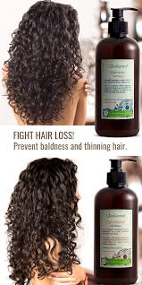 Hair Loss Therapy Shampoo Extremely Dry Hair Dry Shampoo Hairstyles Hair Therapy