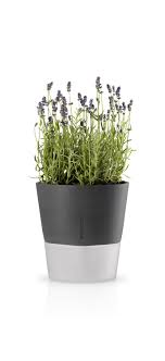 Find the most beautiful lanterns and fire pits from finnish design shop! Glass Garden Pot Eva Solo