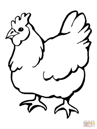Domestic Hen Bird Coloring Page Free Printable Coloring Pages Bird Coloring Pages Animal Coloring Pages Chicken Coloring Pages