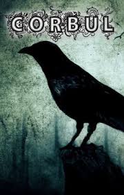 10 galeti (la 10 litri) la un sac de multibat. Corbul Capitolul 16 Corbul Wattpad