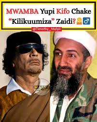 Officially visualiser out now....Go check it out