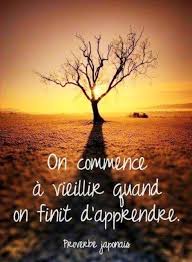 Citation Commence Vieillir Fini Apprendre Arbre Tree Proverbe Japonais French Quotes Nature Cool Pictures