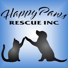 The healthy paws pet insurance plan covers the unexpected things that come up with pet health care, whether that is an accident or illness. Pets For Adoption At Happy Paws Rescue Inc In South Plainfield Nj Petfinder