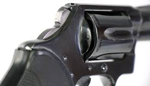 Image result for Spice 1973 Colt