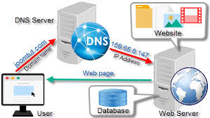 What is the web server and what is the web hosting?
