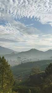 Tikungan cangar, pemandangan cangar i udin mavrodiin. Video Morning Vibes Di 2021 Pemandangan Khayalan Pemandangan Foto Alam