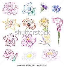 Flowers Rose Morning Glory Cornflowers Lily Poppy Marigold Calla Gladiolus Hibiscus Strelitzia D Flower Sketches Flower Crown Drawing Wreath Drawing