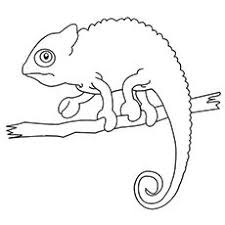 Chameleon Coloring Pages Free Printables Momjunction Chameleon Color Snake Coloring Pages Chameleon Art
