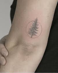 Tiny Tattoo Idea Dainty Pine Tree Tattoo Tatouage Arbre Simple