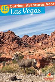 Best 15 Outdoor Adventure Activities Near Las Vegas Outdoor Adventure Activities Adventure Activities Outdoors Adventure