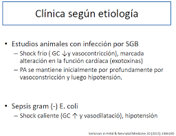 Choque séptico secundario a fiebre por chikungunya no congénita en un lactante menor: Http Www Manuelosses Cl Cabl Shock 20septico 20y 20caso 20clinico 20becadas 20hegc Pdf