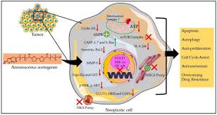 Image result for Annickia
