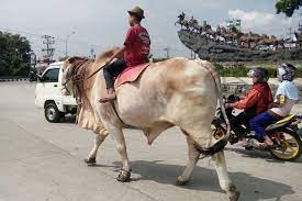 Cara melamar di sapu jalanan semarang. Cara Melamar Di Sapu Jalanan Semarang Cara Melamar Kerja Jadi Tukang Sapu Jalanan Untuk Informasi Pendaftaran Offline Atau Langsung Ditempat Caranya Ada Dibawah