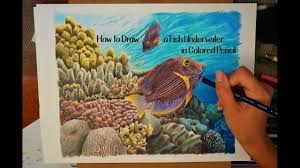Here presented 50+ coral reef drawing images for free to download, print or share. How To Draw A Realistic Fish Underwater In Colored Pencil Youtube