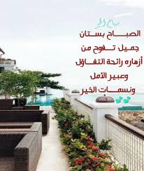 الصباح بستان جميل Plants Sidewalk Relationship