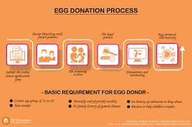 At egg donation inc., we are proud to play a small role in helping you accomplish your reproductive goals, whether you are looking to start or grow your family. Top 8 Factors To Consider When You Choose Egg Donor