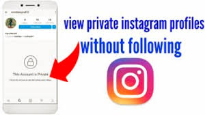 Instagram Private Profile Viewer Tool Privateig Instagram Private Profile Instagram Private Account Instagram Private Profile Viewer