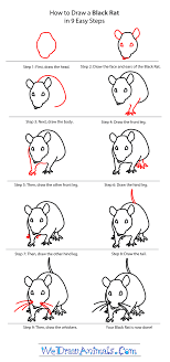 How To Draw A Black Rat
