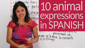 50 Words That Are The Same In English Spanish Youtube