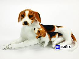 Image result for bígl