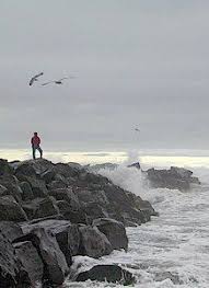 119 Best Ocean Shores Images Ocean Shores Ocean Ocean