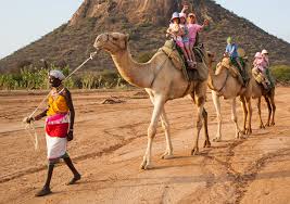 Method 1 getting on the hump. Camel Safaris In Kenya Karisia Walking Safaris