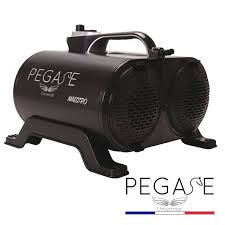 Pulseur 2 Moteurs 3000w Avec Resitance Maestro Toilettage Chien Gros Chien Toilettage