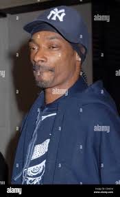 Doug the dog hi-res stock photography and images