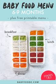 Breakfast lunch and dinner chart for kids : 6 9 Month Old Baby Food Puree Menu Free Printable Baby Foode