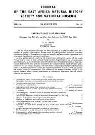 Image result for Pycreus atribulbus