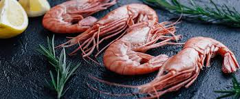 Image result for prawn