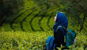 Kebun teh wonosari letaknya di malang, jawa timur. 4 Wisata Kebun Teh Di Jawa Timur Lokasi Nyaman Untuk Berlibur