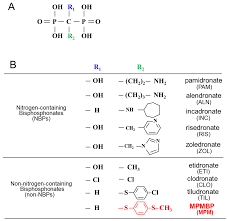 Image result for Bisphosphonates