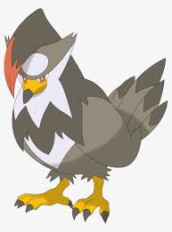 Barry's busting out all over. Staraptor Staraptor Pokemon Free Transparent Png Download Pngkey